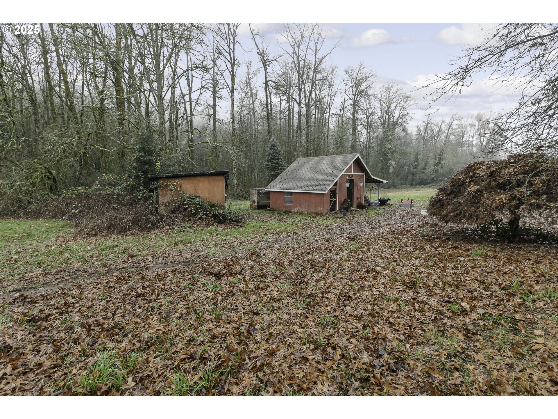 35730 Southeast Lusted Road Boring, OR 97009 - Photo 28 of 36 a view of a backyard with large trees