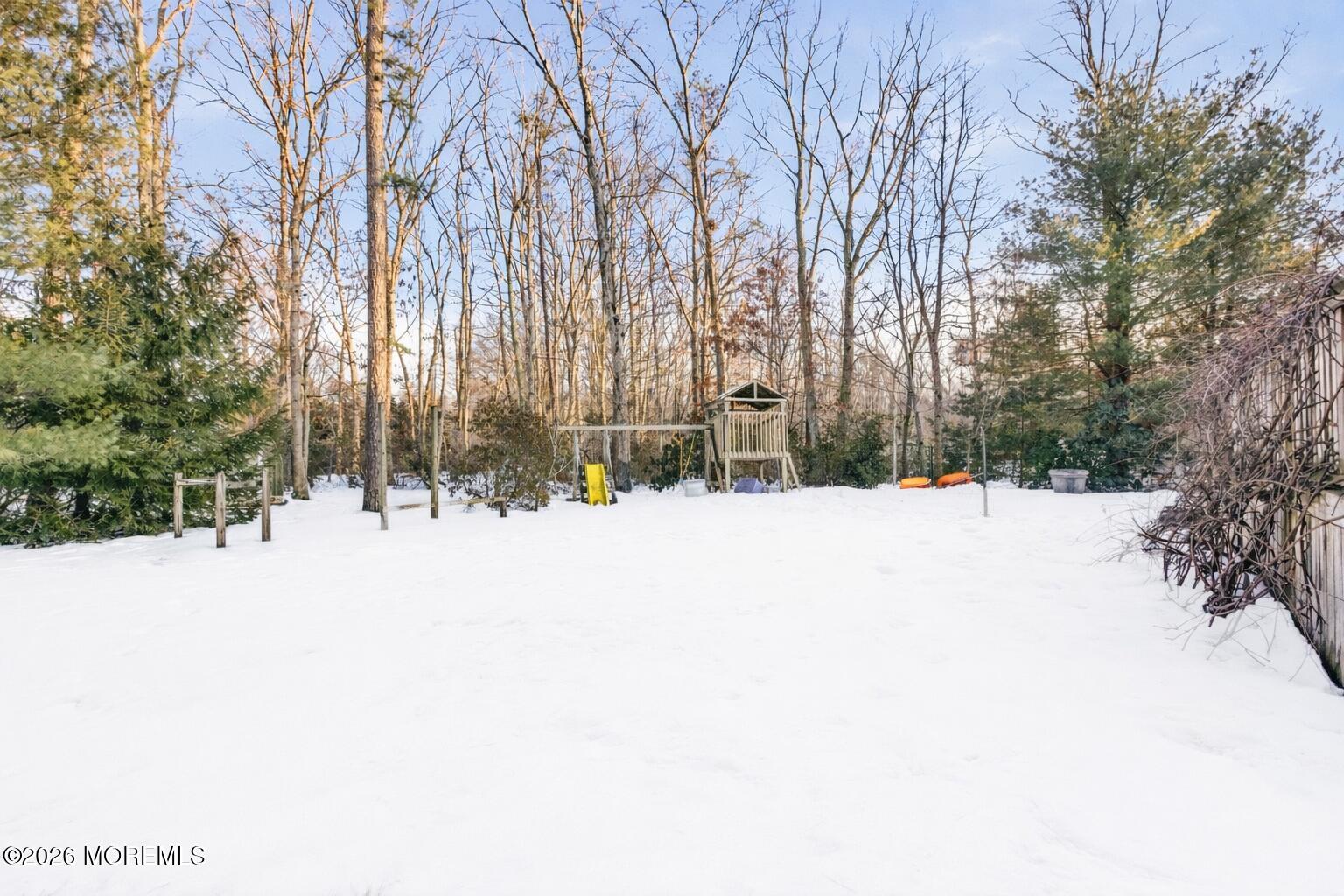 3 Arrowhead Circle Jackson, NJ 08527 - Photo 34 of 34 a view of backyard space with trees