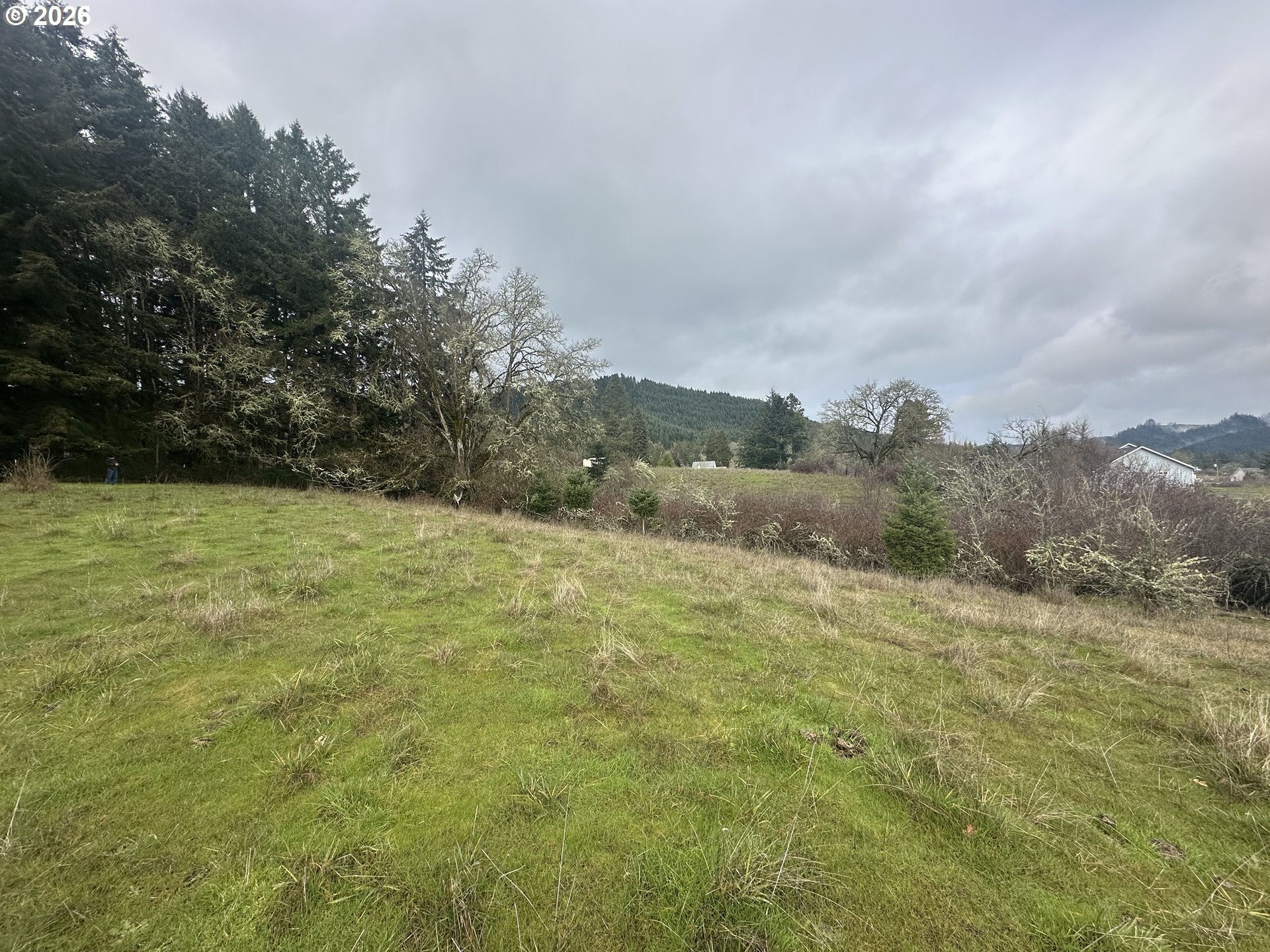 0 1st Street Yoncalla, OR 97499 - Photo 7 of 8