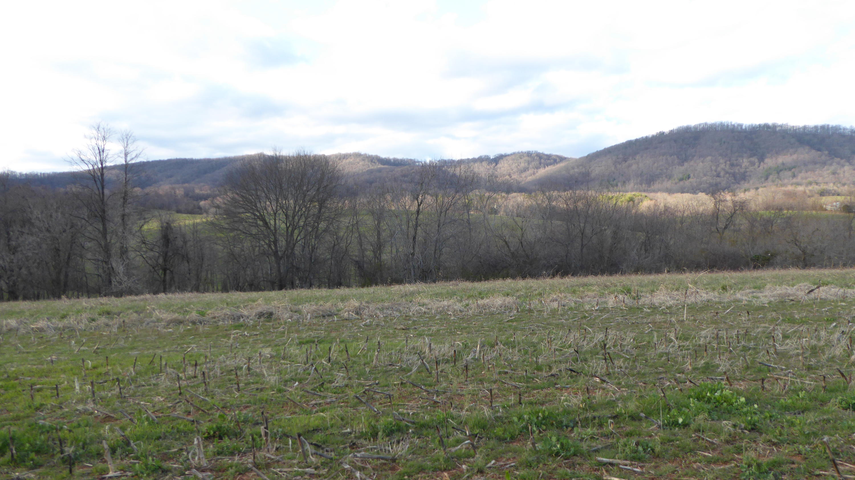 0 Crowell Gap Road Roanoke, VA 24014 - Photo 1 of 1 19 Mountain Views