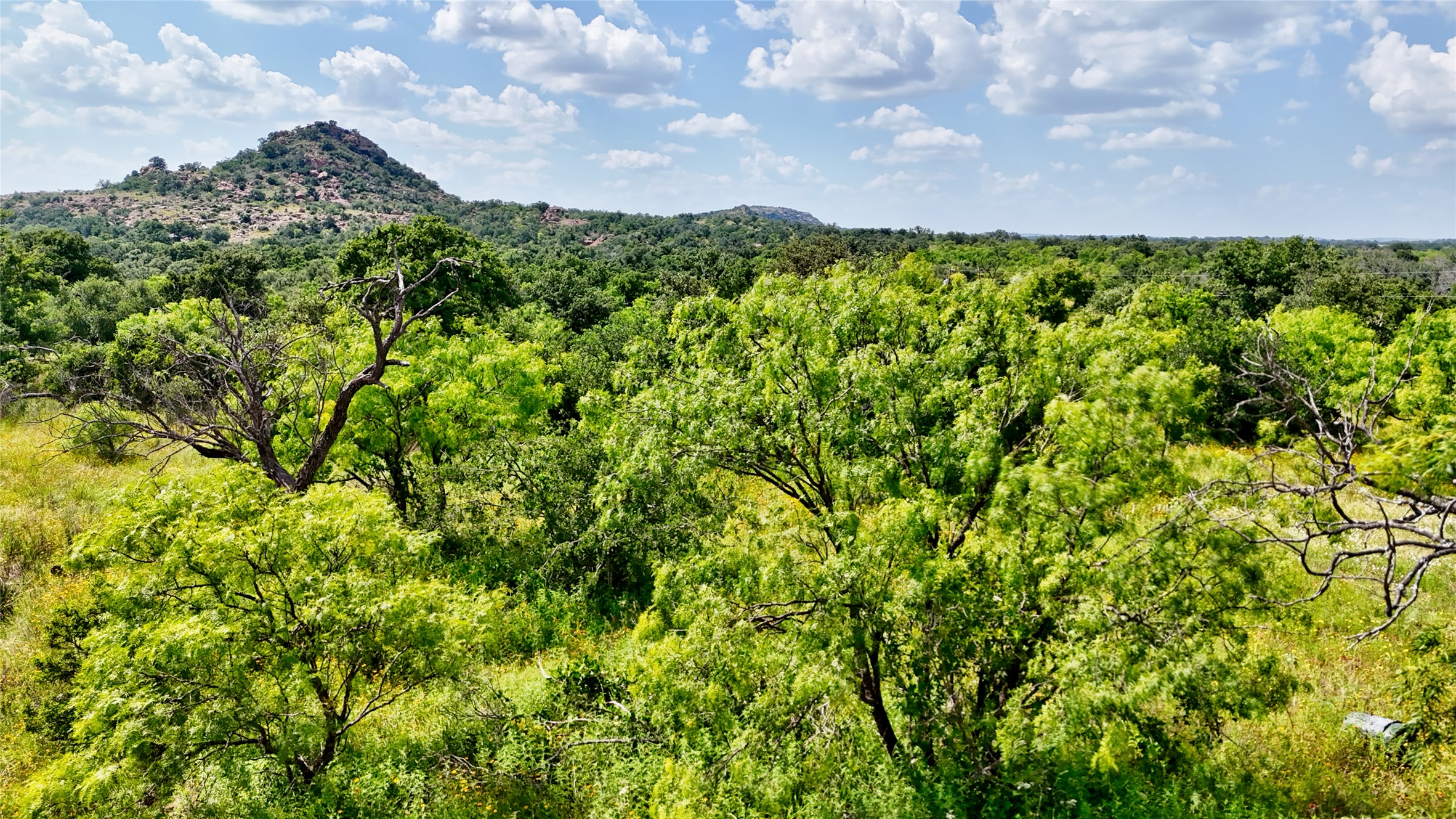18248 Bode Peak Road Pontotoc, TX 76869 - Photo 13 of 17 A tranquil, verdant landscape unfolds with rolling hills and abundant foliage under an expansive sky.