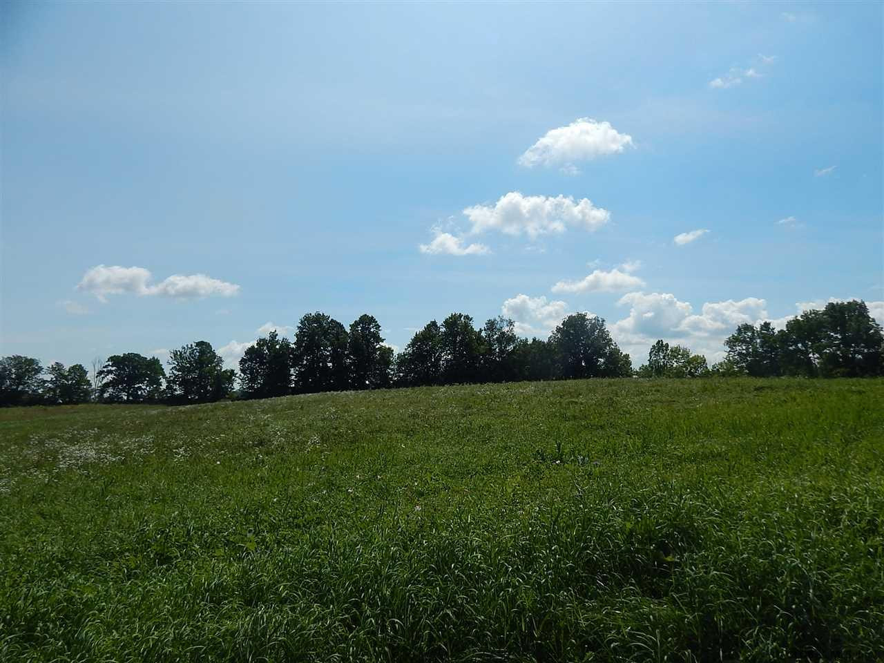0 Fisk Road Fort Plain, NY 13339 - Photo 3 of 8 Photo 3
