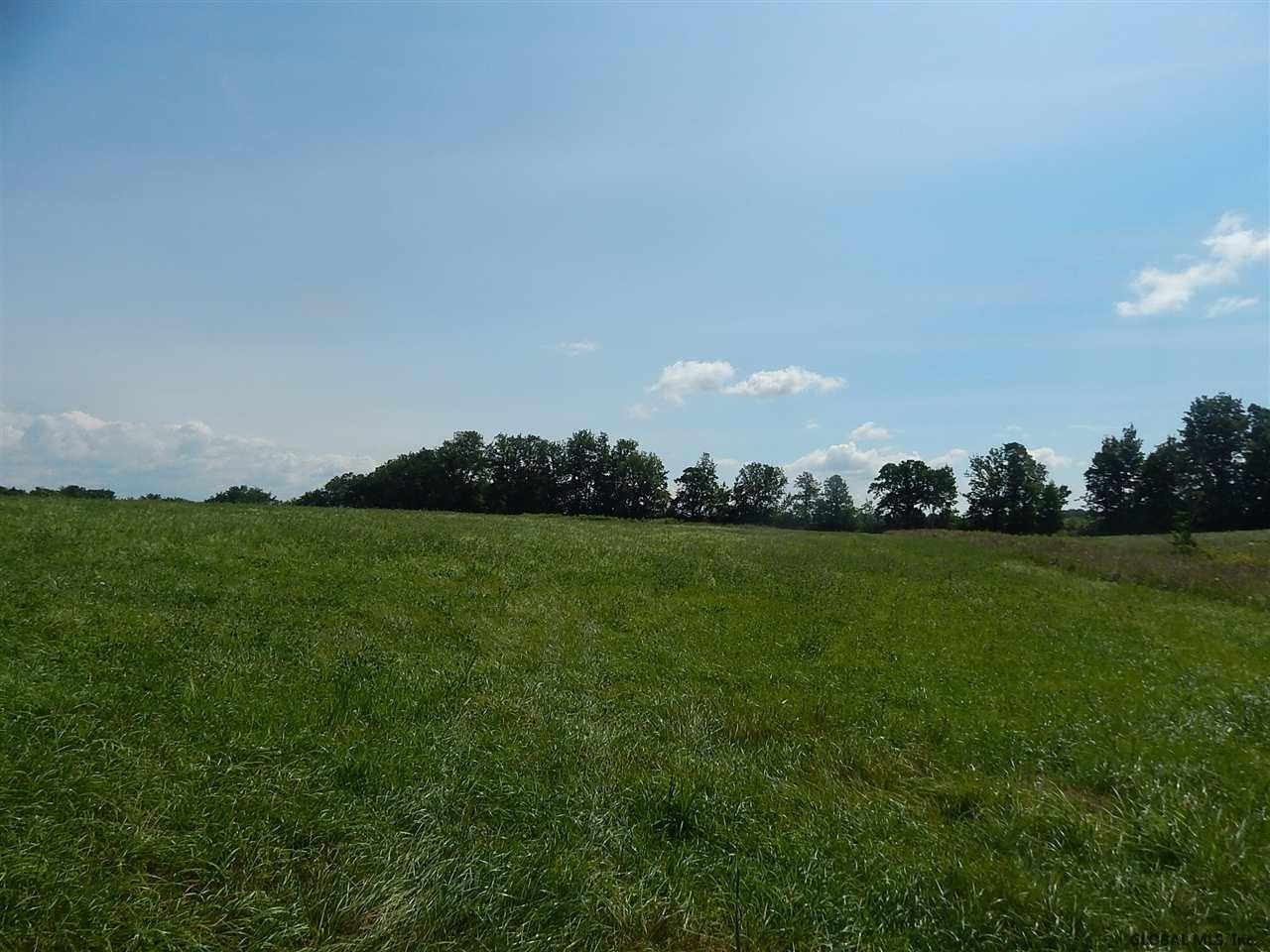 0 Fisk Road Fort Plain, NY 13339 - Photo 4 of 8 Photo 4