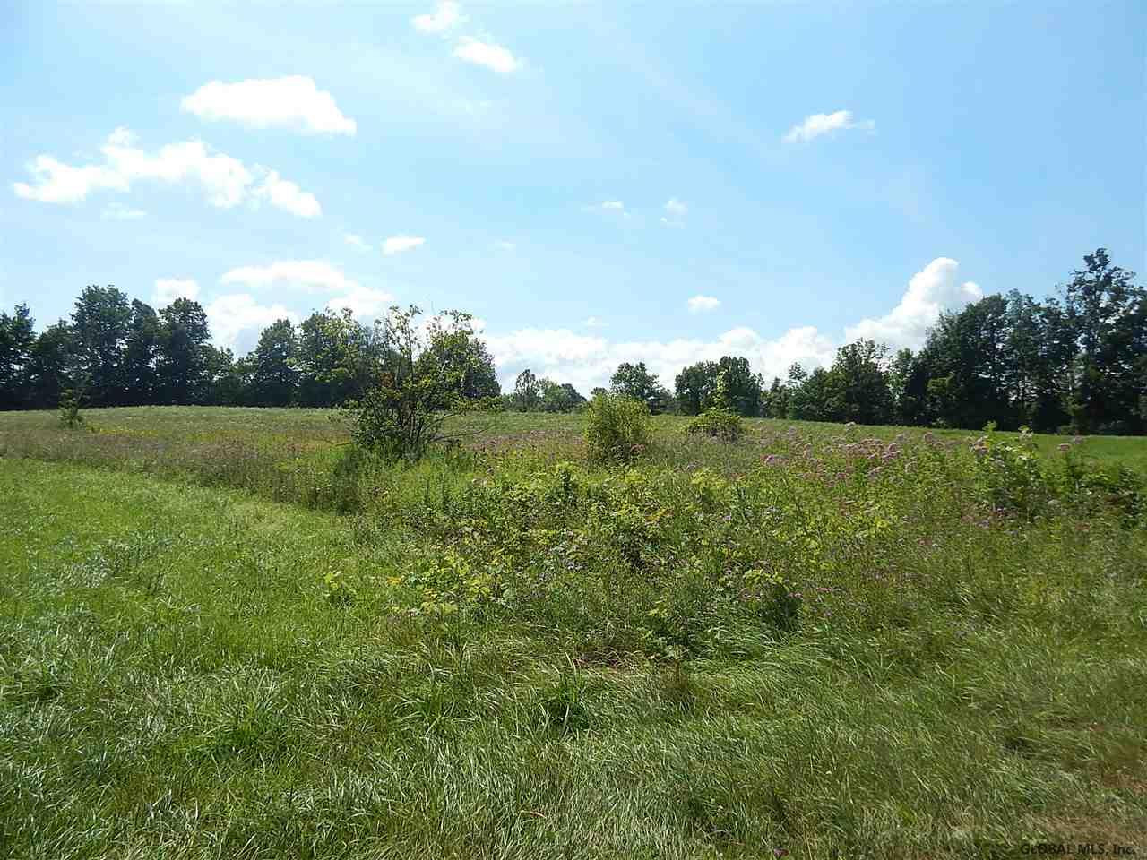 0 Fisk Road Fort Plain, NY 13339 - Photo 5 of 8 Photo 5