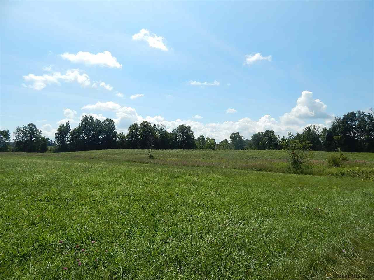 0 Fisk Road Fort Plain, NY 13339 - Photo 7 of 8 Photo 7