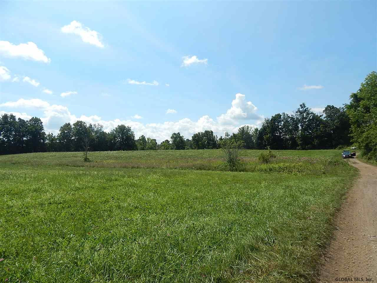 0 Fisk Road Fort Plain, NY 13339 - Photo 8 of 8 Photo 8