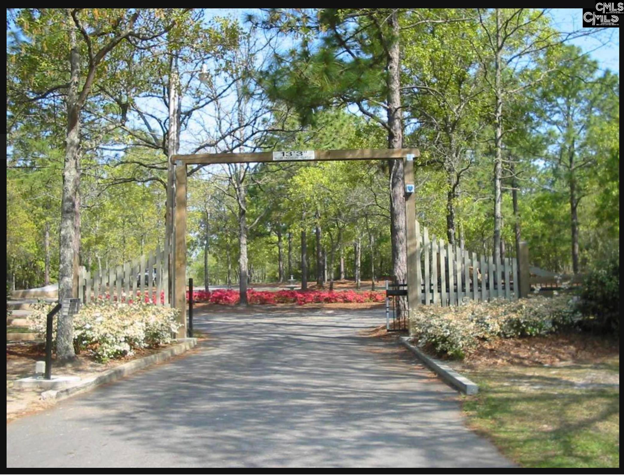 Edisto Lake Road Wagener, SC 29164 - Photo 2 of 6 Gallery Image 2