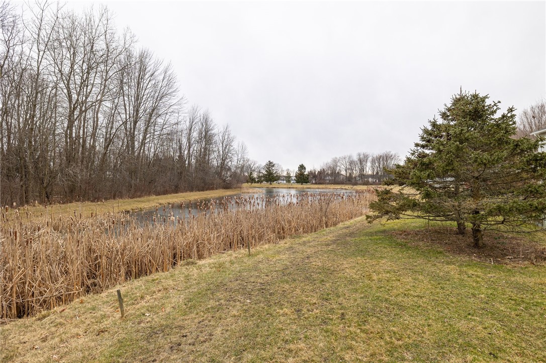 1028 Cane Patch Webster, NY 14580 - Photo 20 of 21
