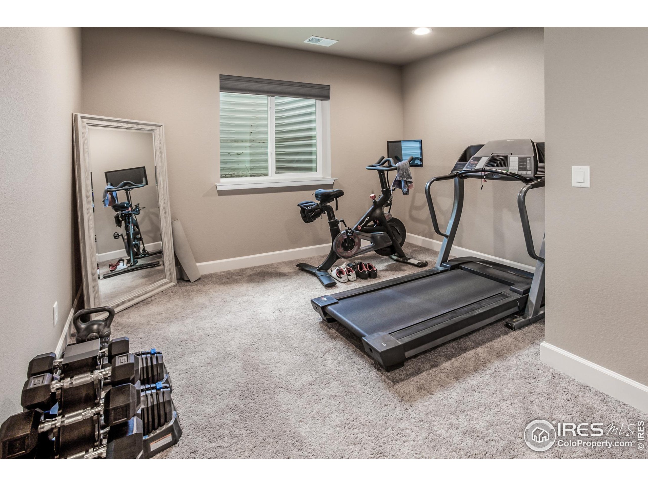 1231 105th Avenue Greeley, CO 80634 - Photo 33 of 43 a room with gym equipment and windows