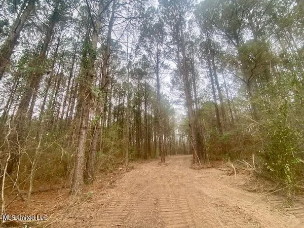 $145,000 | Crawley Road, Columbia, MS 39429