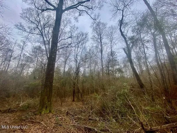 $145,000 | Crawley Road, Columbia, MS 39429