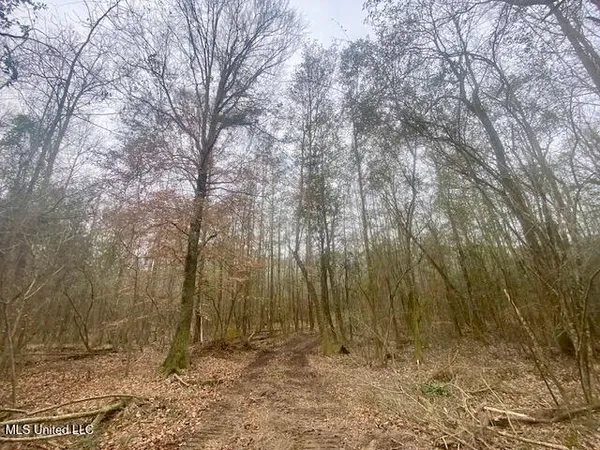 $145,000 | Crawley Road, Columbia, MS 39429