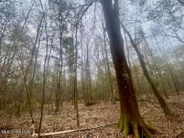 $145,000 | Crawley Road, Columbia, MS 39429