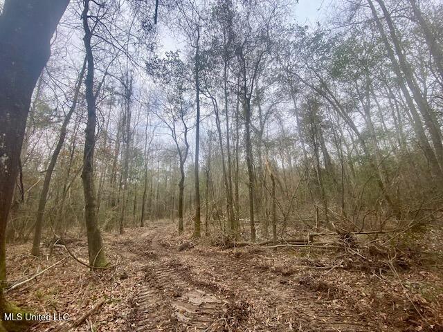 Crawley Road Columbia, MS 39429 - Photo 14 of 17 IMG_8878 (1)