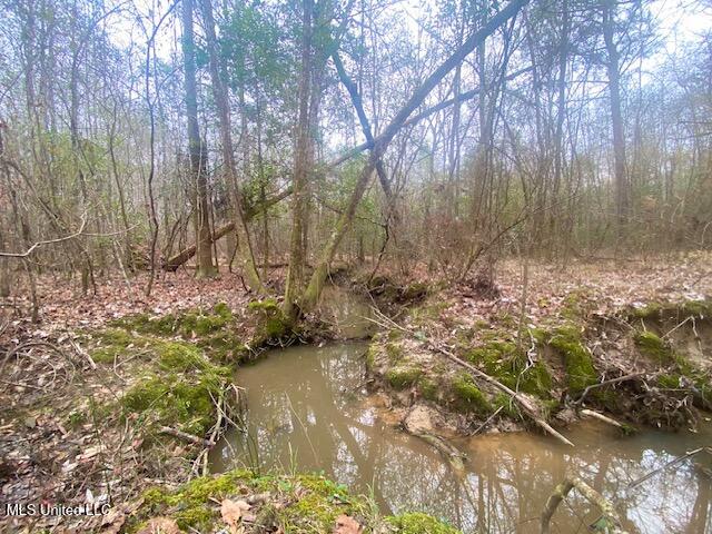 Crawley Road Columbia, MS 39429 - Photo 15 of 17 IMG_8879 (1)