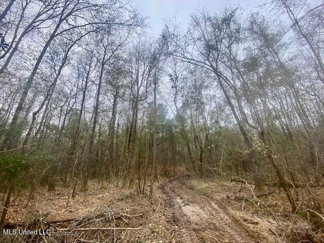 Crawley Road Columbia, MS 39429 - Photo 16 of 17 IMG_8880 (1)