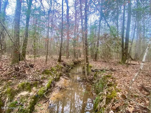 $145,000 | Crawley Road, Columbia, MS 39429