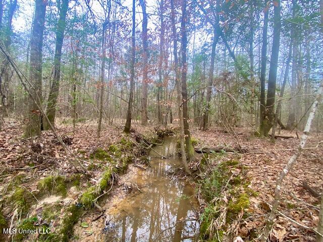 Crawley Road Columbia, MS 39429 - Photo 17 of 17 IMG_8881 (1)