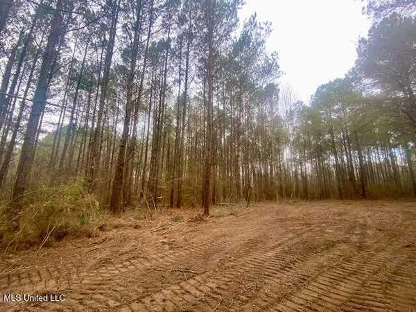 $145,000 | Crawley Road, Columbia, MS 39429