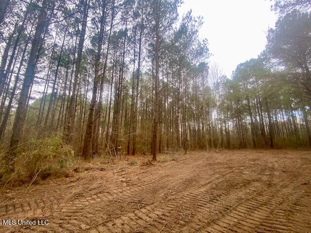 Crawley Road Columbia, MS 39429 - Photo 2 of 17 IMG_8866 (1)