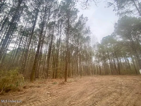 $145,000 | Crawley Road, Columbia, MS 39429