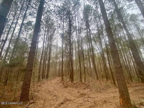 $145,000 | Crawley Road, Columbia, MS 39429