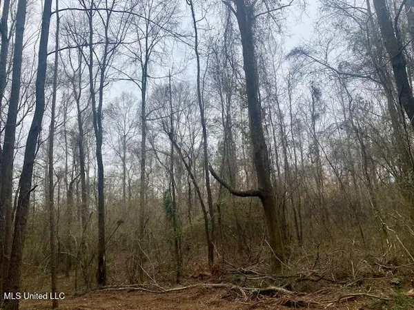 $145,000 | Crawley Road, Columbia, MS 39429