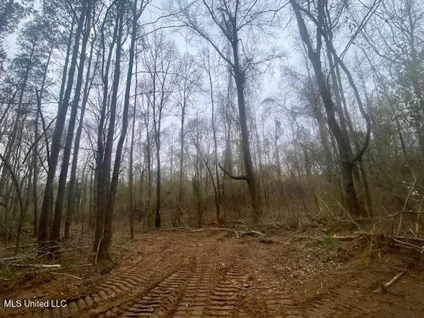 $145,000 | Crawley Road, Columbia, MS 39429