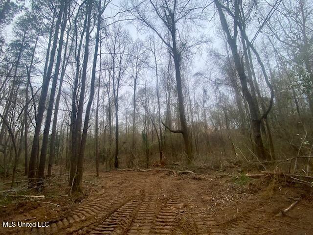 Crawley Road Columbia, MS 39429 - Photo 6 of 17 IMG_8870 (1)