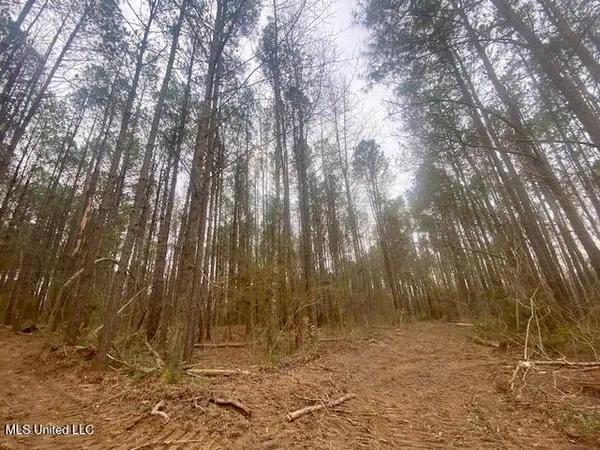 $145,000 | Crawley Road, Columbia, MS 39429