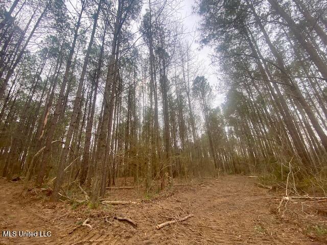 Crawley Road Columbia, MS 39429 - Photo 7 of 17 IMG_8871 (1)