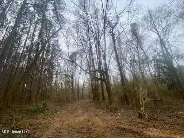 $145,000 | Crawley Road, Columbia, MS 39429