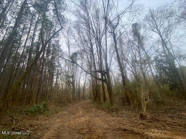 Crawley Road Columbia, MS 39429 - Photo 8 of 17 IMG_8872 (1)
