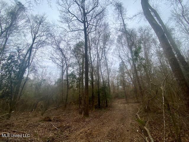 Crawley Road Columbia, MS 39429 - Photo 9 of 17 IMG_8873 (1)