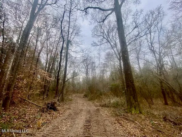 $145,000 | Crawley Road, Columbia, MS 39429