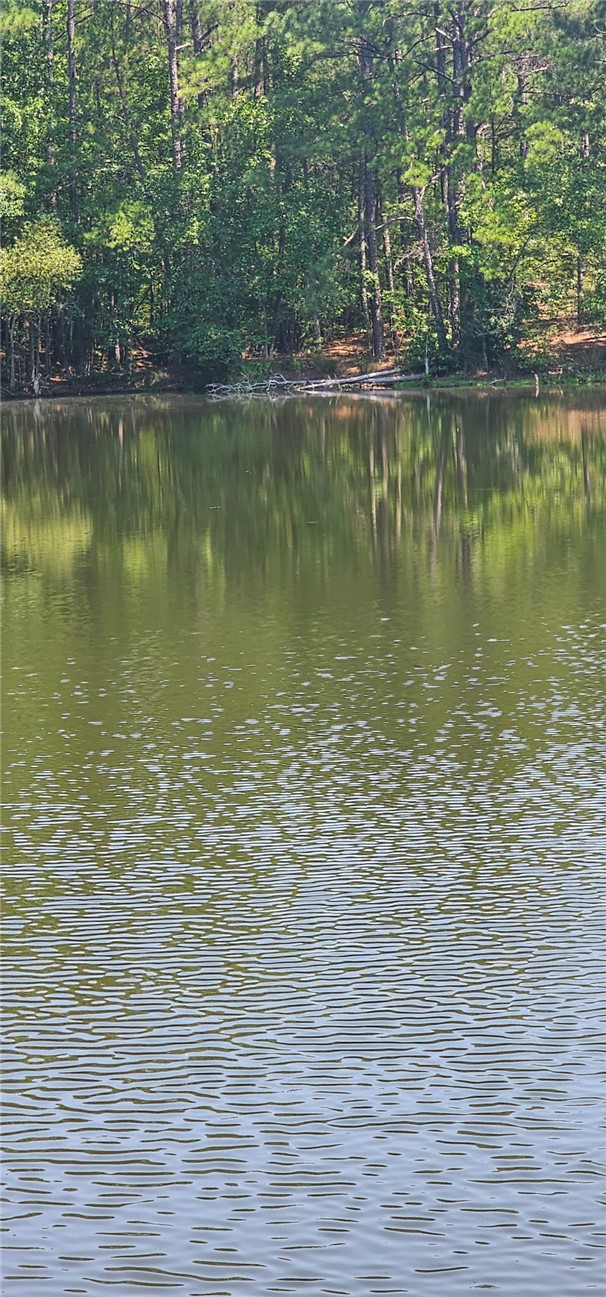 1702 Goings Road Chester, SC 29706 - Photo 7 of 24 Mature trees line the quiet water of a private pond.