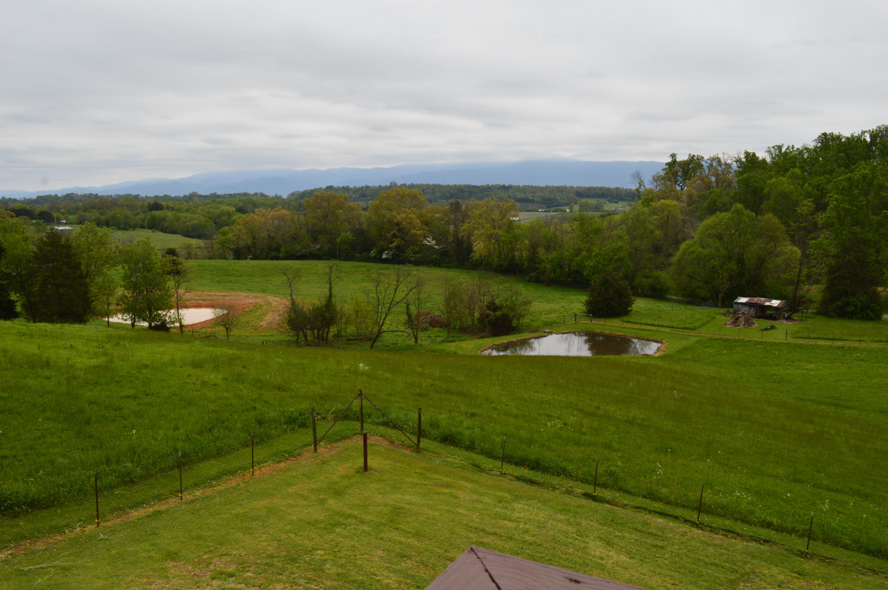 DSC_0001 (3)