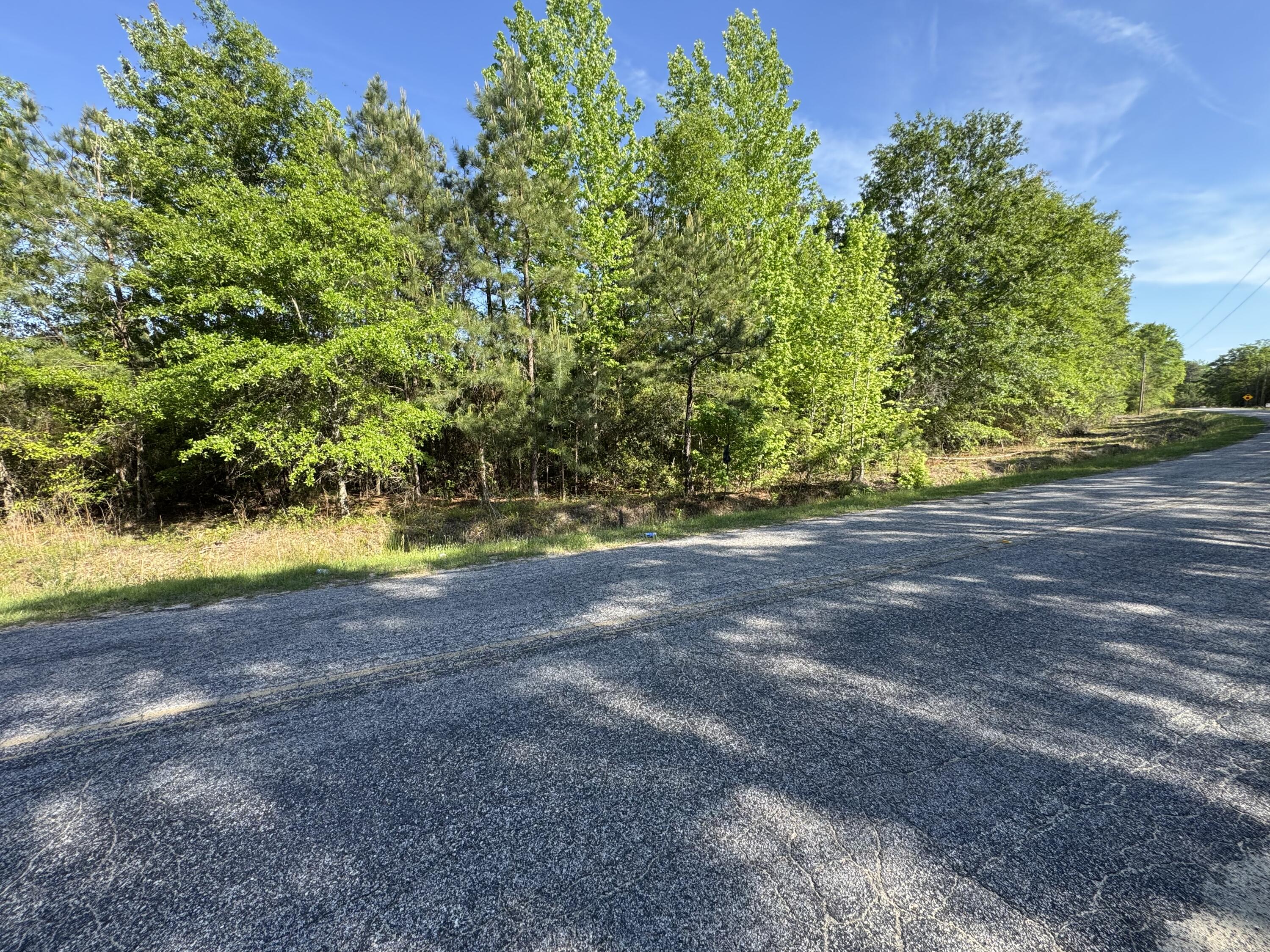 0 Huggins Road Rembert, SC 29128 - Photo 8 of 13 Gallery Image 8