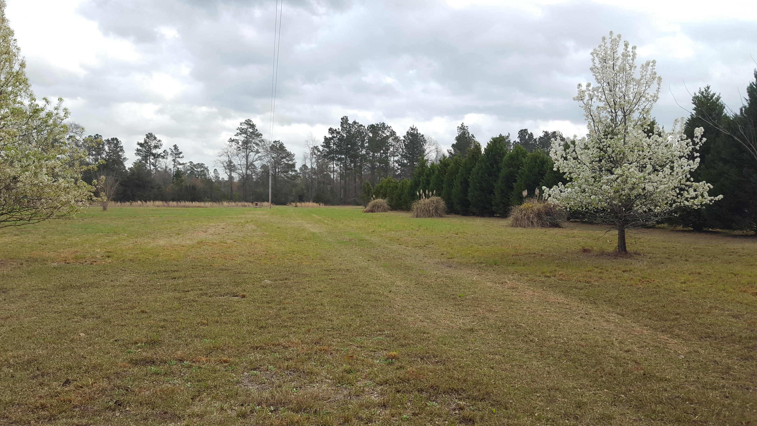 2327 Red Root Road Ruffin, SC 29475 - Photo 2 of 12 013