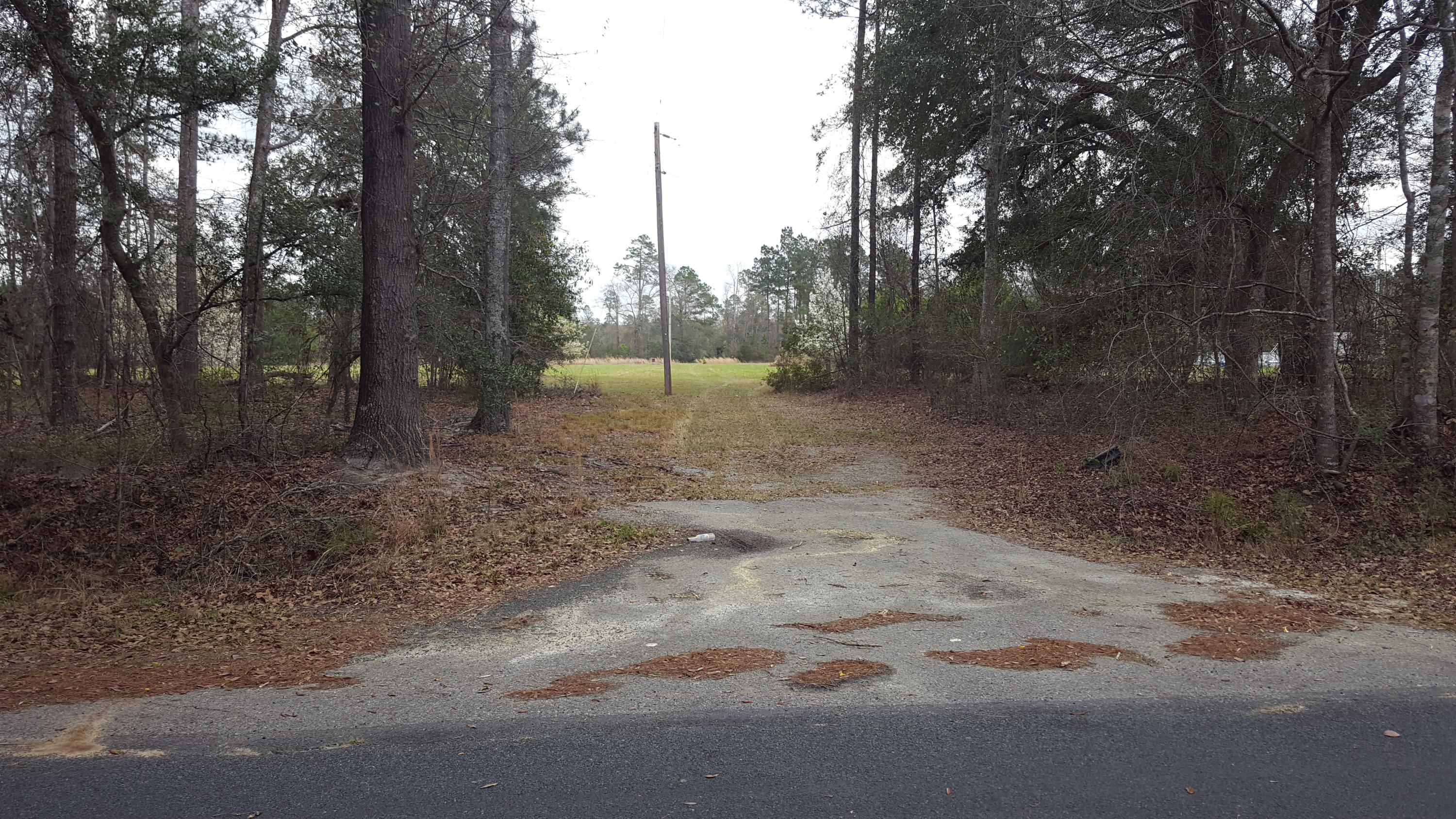 2327 Red Root Road Ruffin, SC 29475 - Photo 12 of 12 023