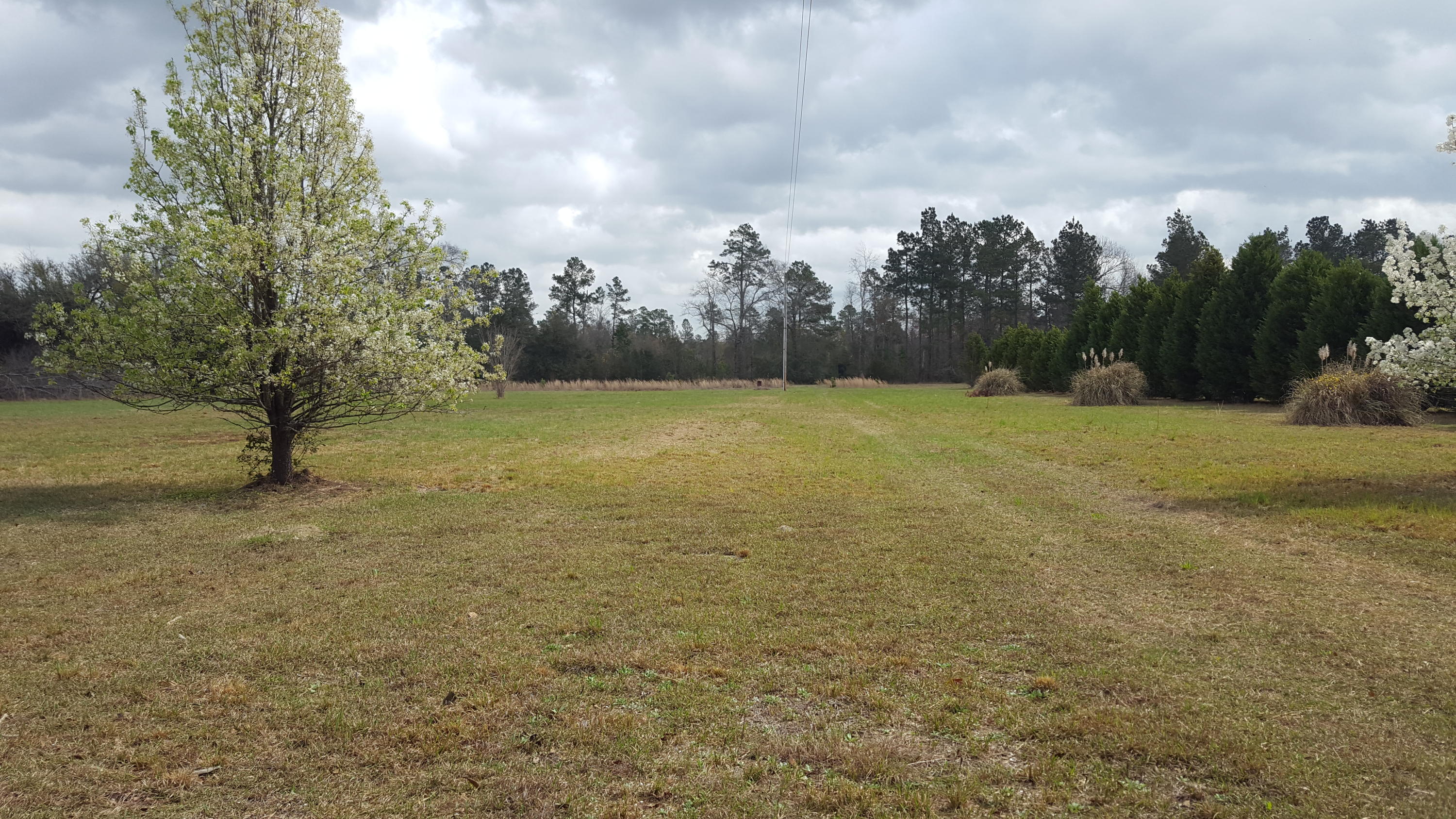 2327 Red Root Road Ruffin, SC 29475 - Photo 3 of 12 014