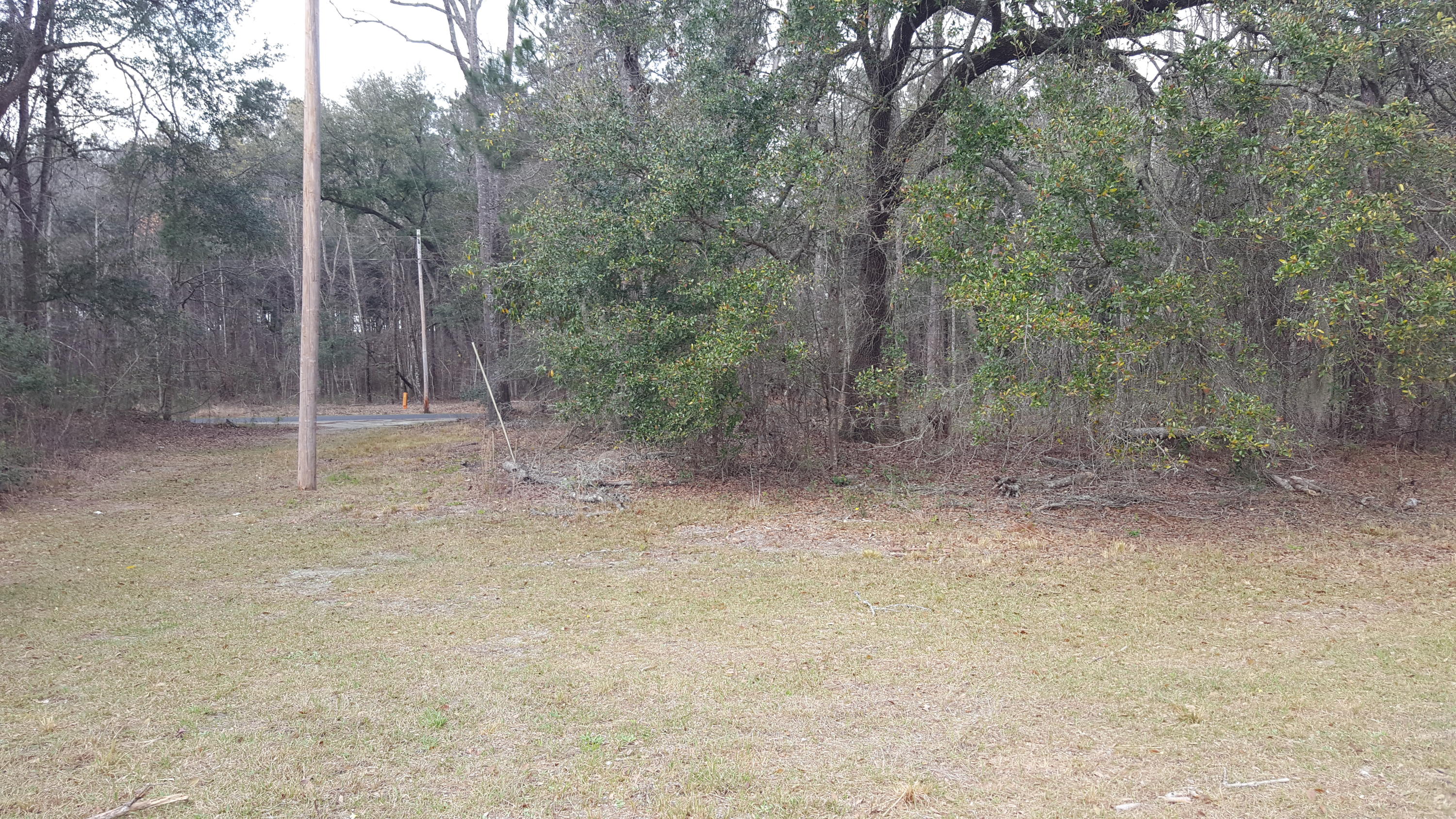 2327 Red Root Road Ruffin, SC 29475 - Photo 4 of 12 015