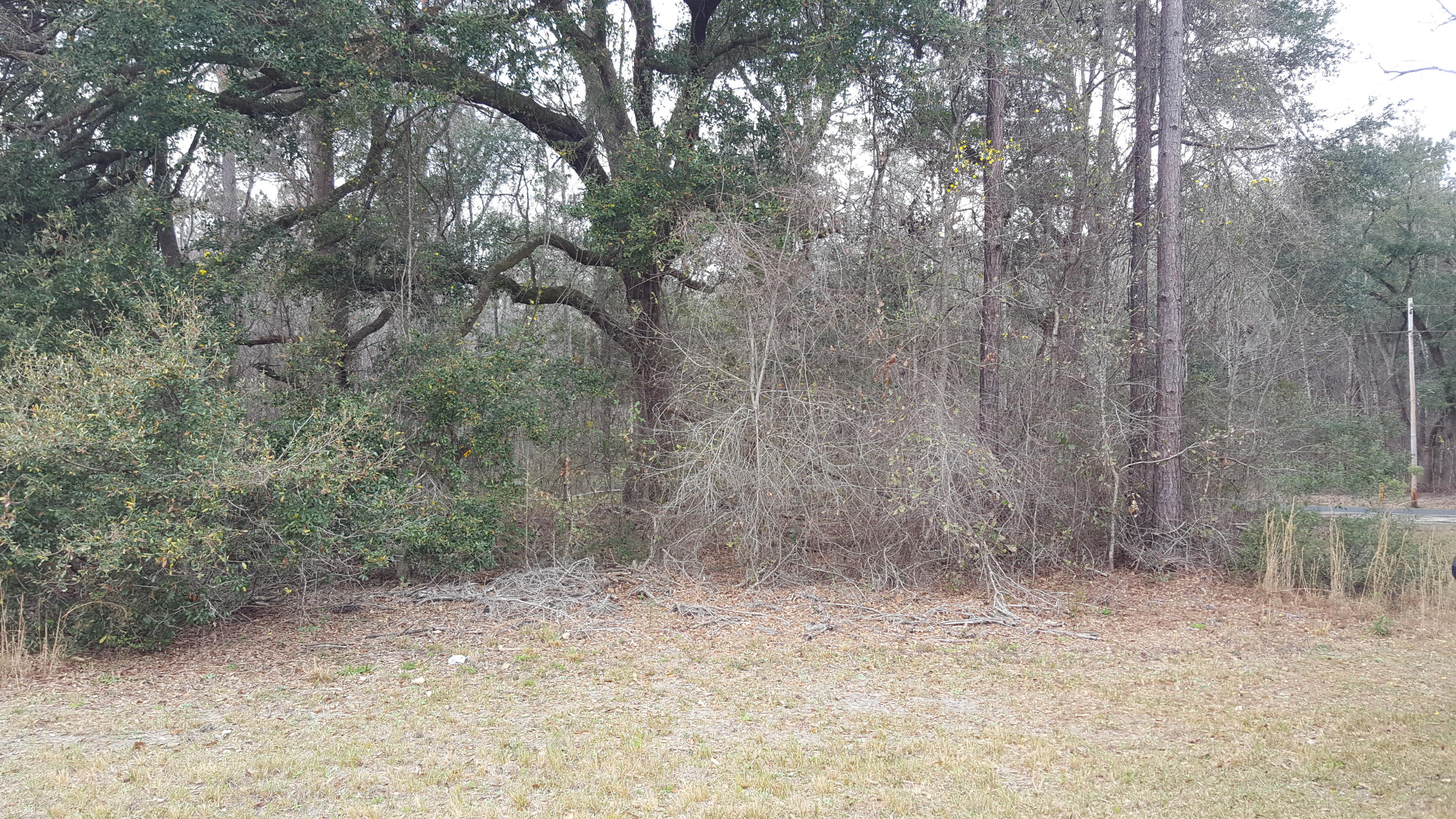 2327 Red Root Road Ruffin, SC 29475 - Photo 5 of 12 016