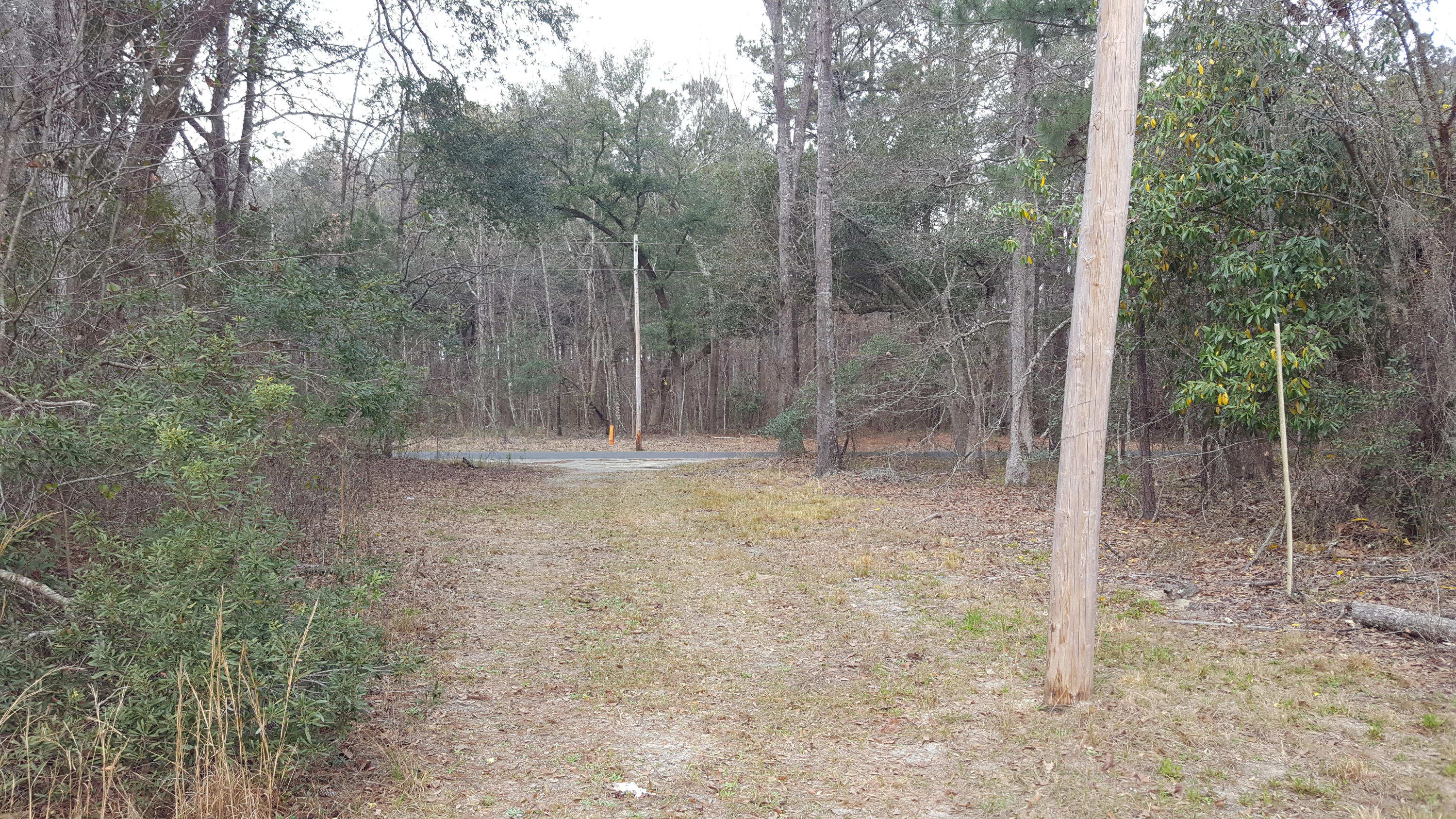 2327 Red Root Road Ruffin, SC 29475 - Photo 6 of 12 017