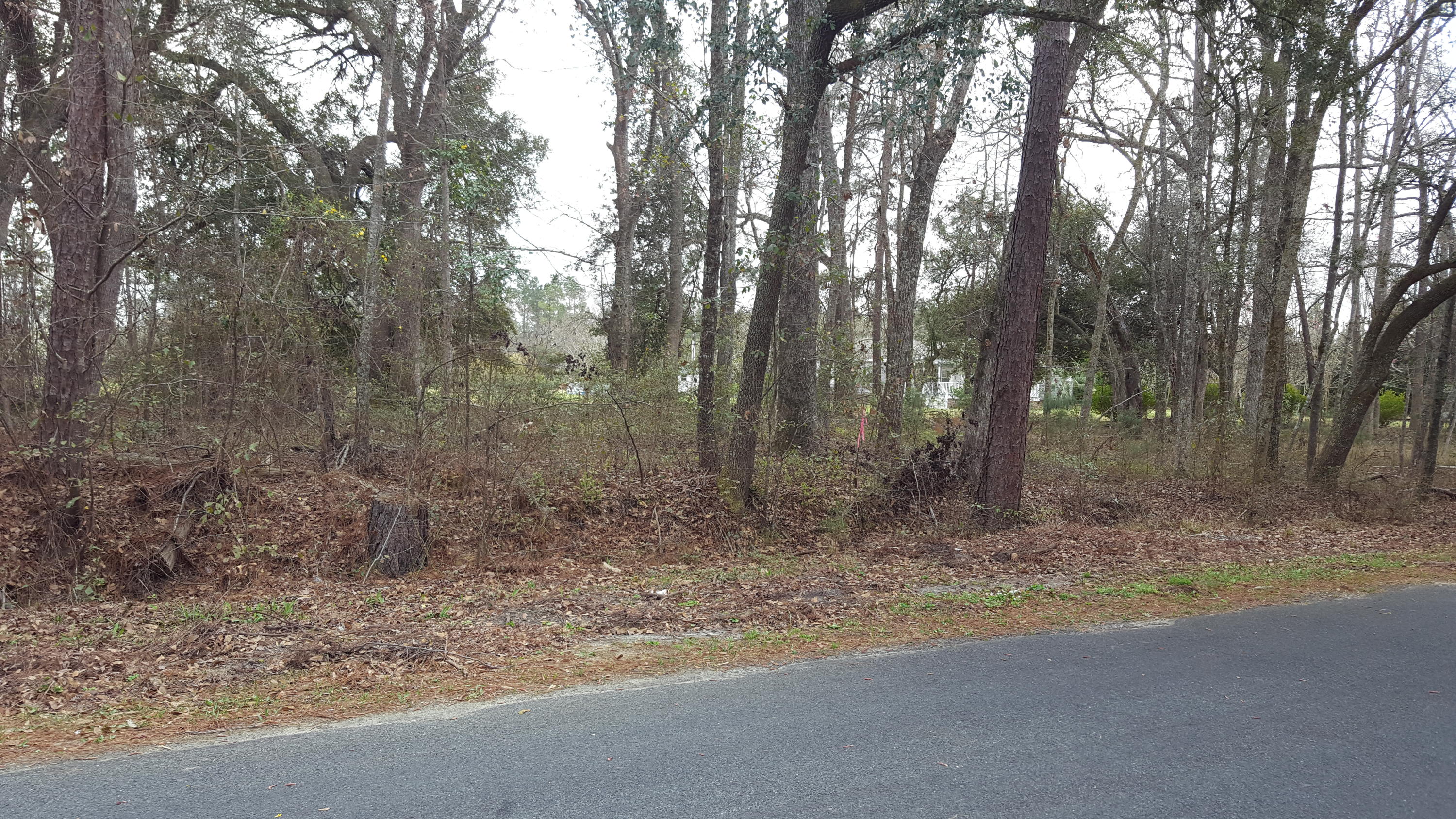 2327 Red Root Road Ruffin, SC 29475 - Photo 7 of 12 018