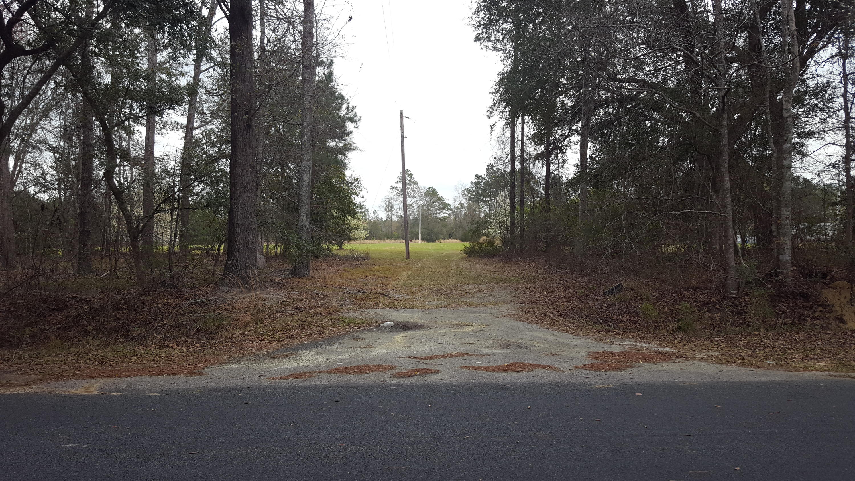 2327 Red Root Road Ruffin, SC 29475 - Photo 8 of 12 019