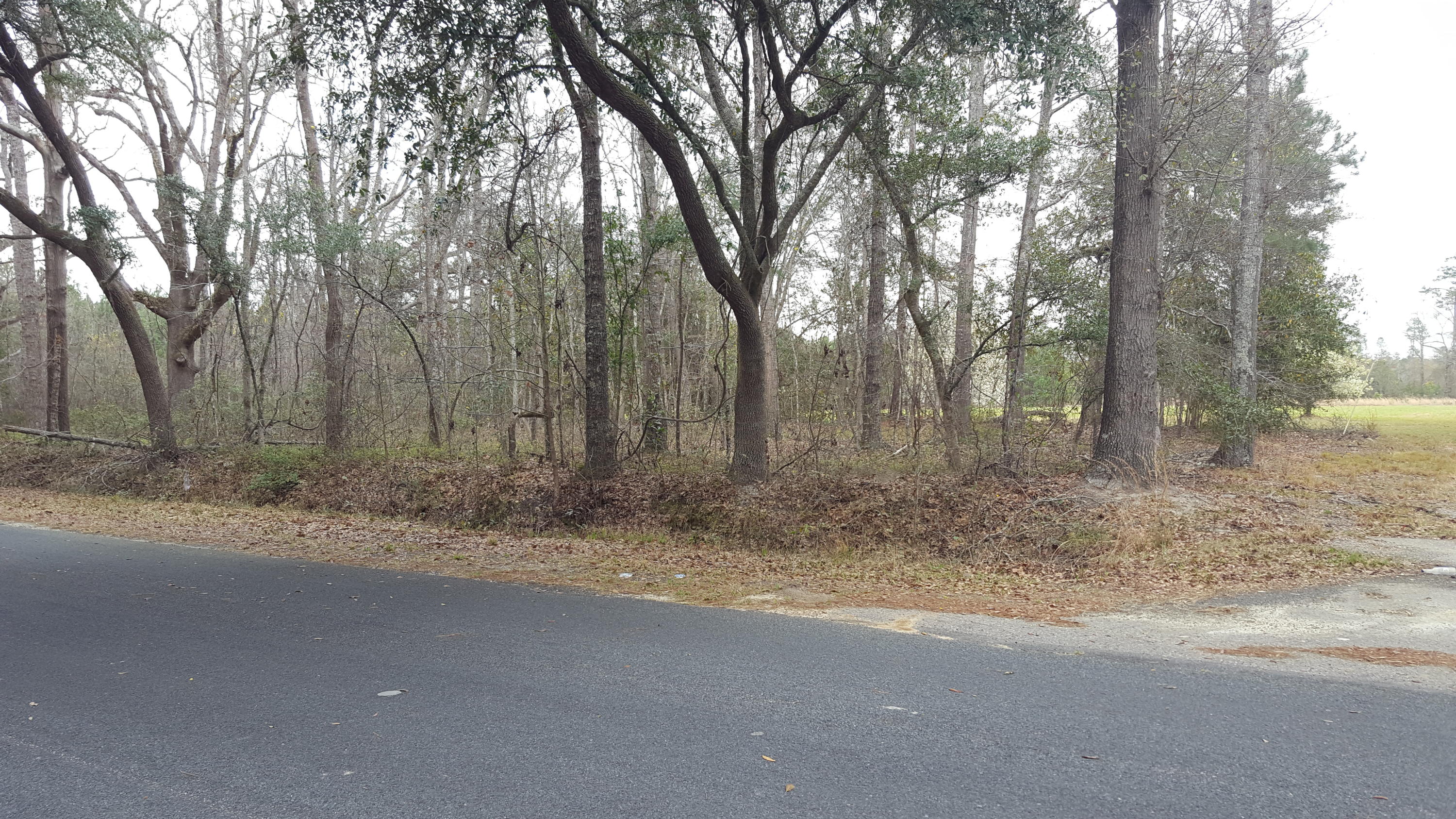 2327 Red Root Road Ruffin, SC 29475 - Photo 9 of 12 020