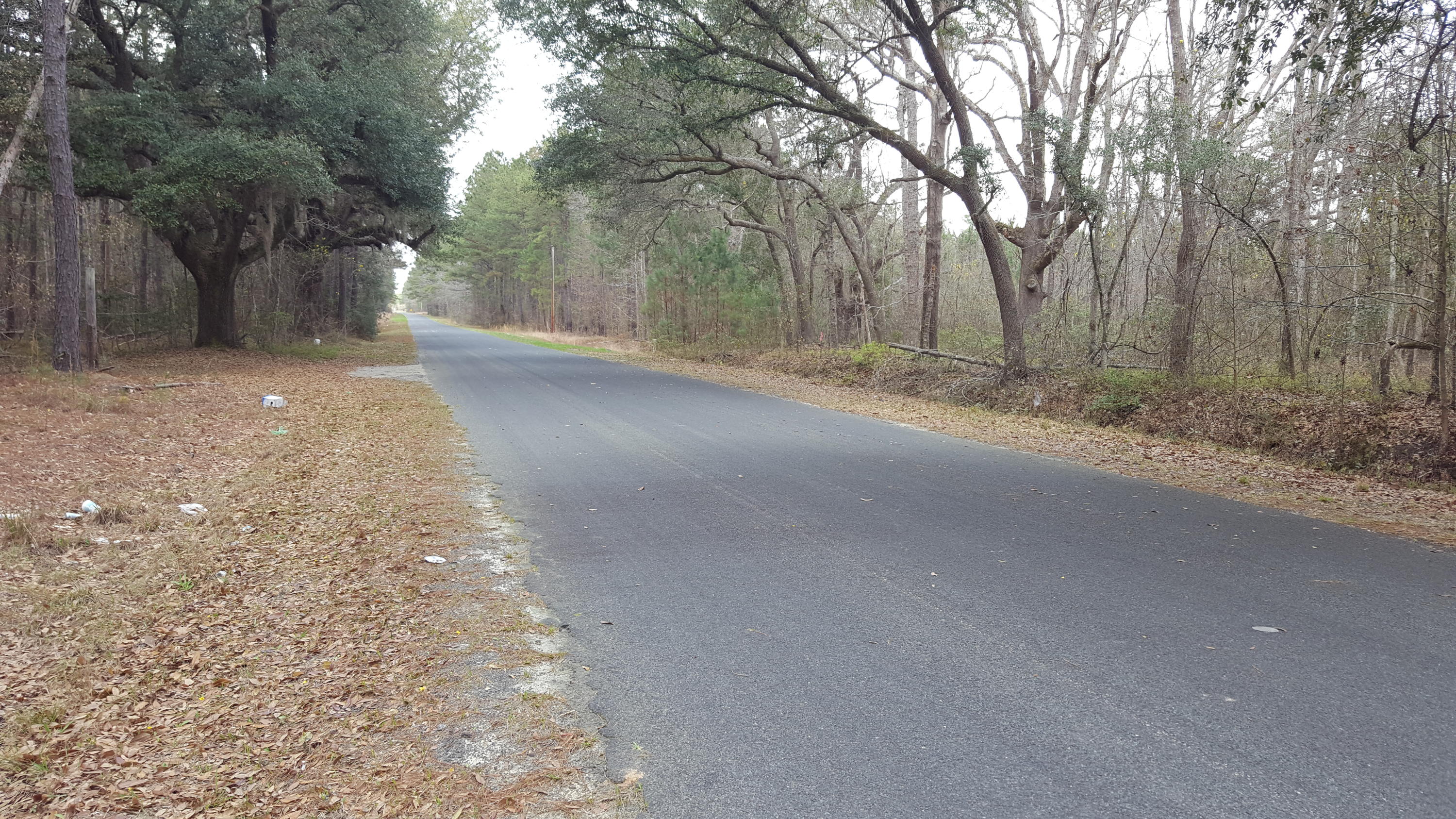 2327 Red Root Road Ruffin, SC 29475 - Photo 10 of 12 021