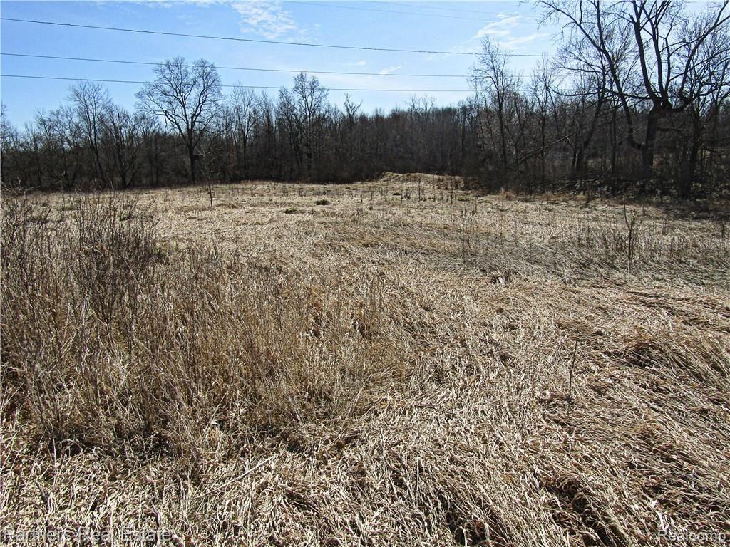 0 Clyde Road Howell, MI 48855 - Photo 2 of 6