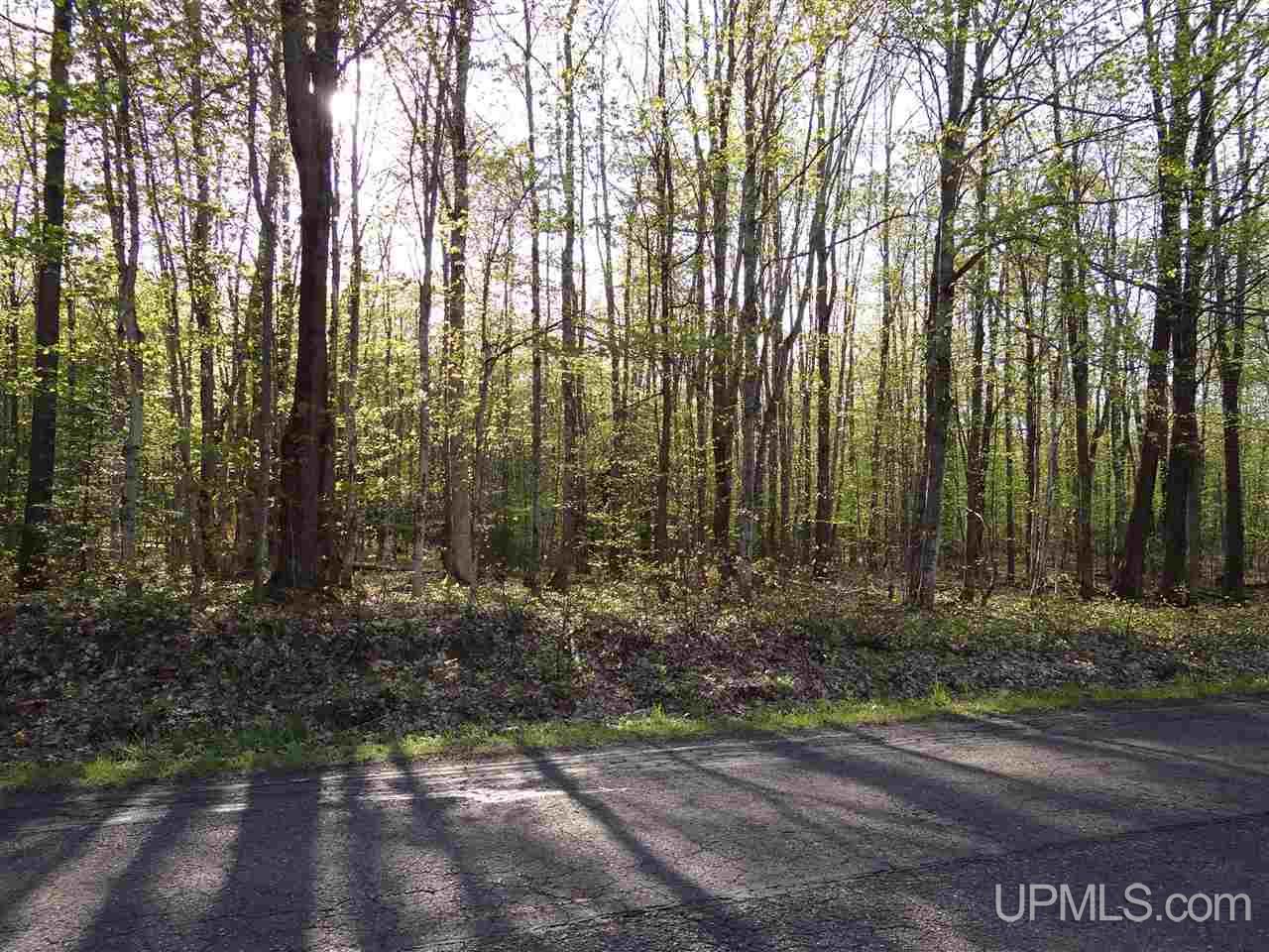 Tbd Rauhala Road, Unit PARCEL 3 Atlantic Mine, MI 49931 - Photo 19 of 19